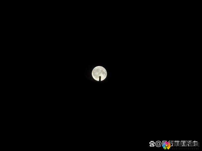 月亮很圆小芳1-29章深度解析：小芳与月亮的故事背后隐藏的情感与命运