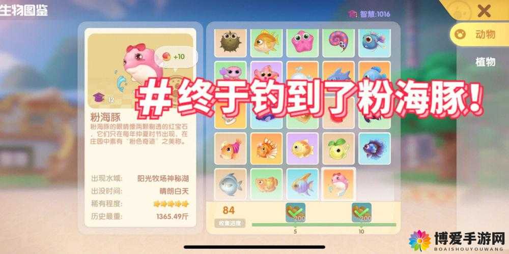 天天酷跑海豚之心好不好？海豚之心属性获得图鉴全解析