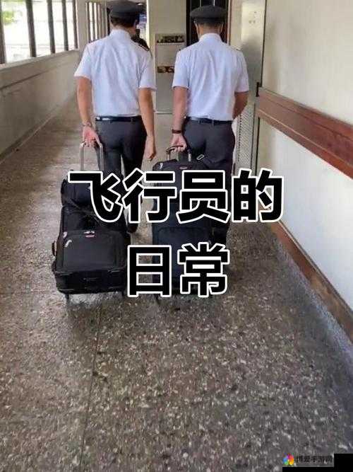 美国空乘5的真实工作体验：揭秘空乘人员的日常与挑战，你了解多少？