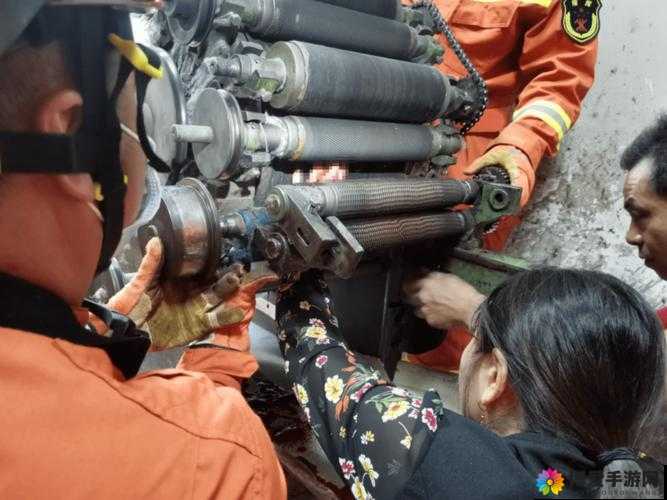 想知道哪里可以找到血腥工厂正版免费观看？快来这里一探究竟