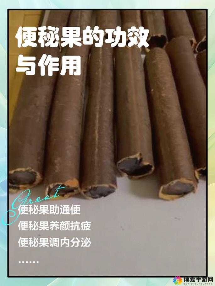 便秘果怎么用才正确？一文详解便秘果的正确使用方法与注意事项