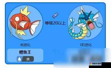 口袋妖怪复刻鲤鱼王进化一览与鲤鱼王属性图鉴,资源管理的艺术
