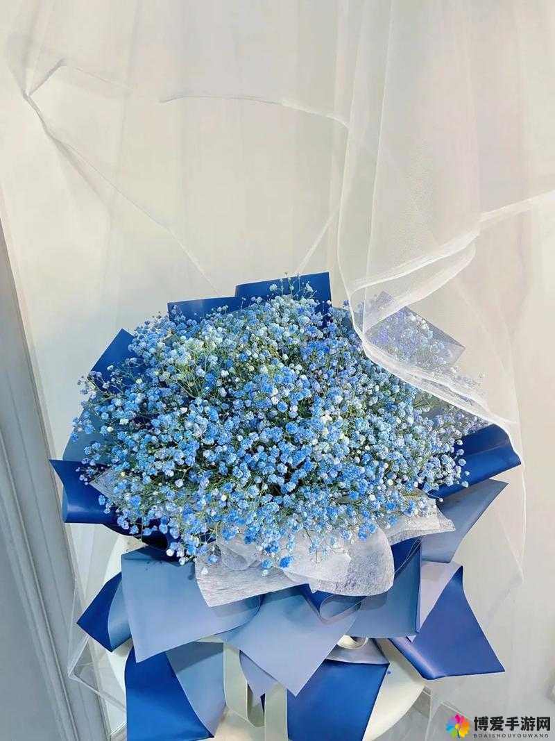 满天星欧美版与英版对比：哪款更适合你的观影体验？详细解析满天星欧美版和英版的区别与特色