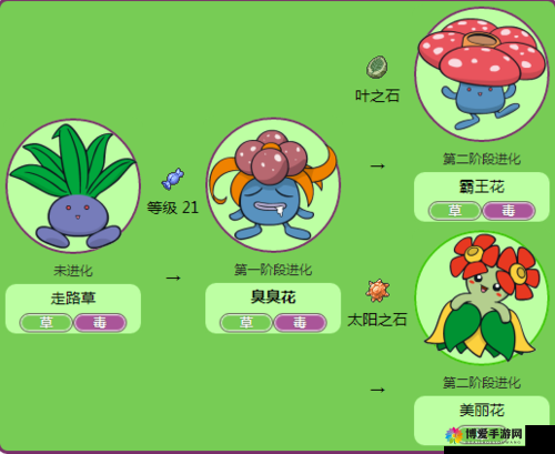 口袋妖怪复刻臭臭花进化一览与技能图鉴攻略