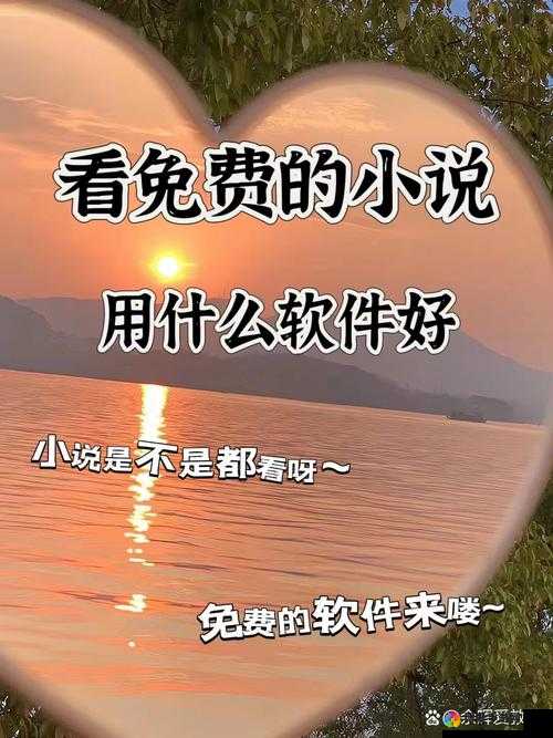 铿锵锵锵锵锵好多少小说到底是什么？为何如此引人关注？全面解读