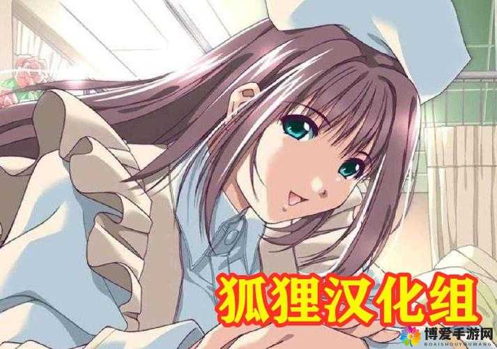 玩了就停不下来狐狸汉化组 300 部直装游戏，你玩过几部？