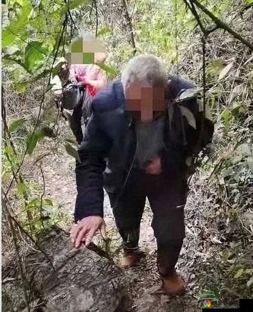 60 岁老熟妇与老头的激情野战，无码激情视频流出