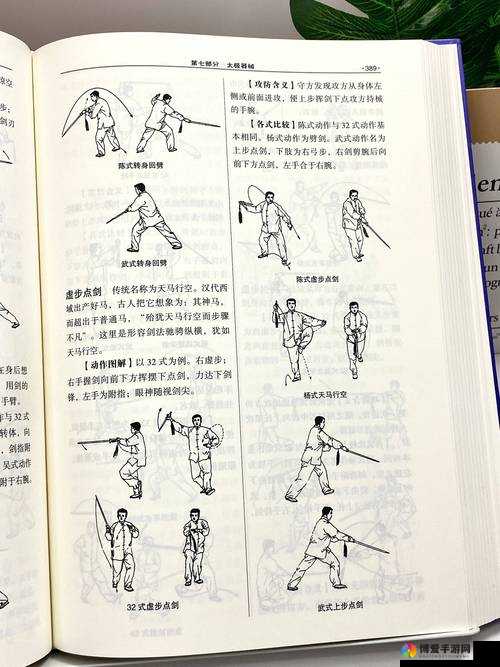 太极熊猫刺客腾云技能深度剖析，技巧与策略并存