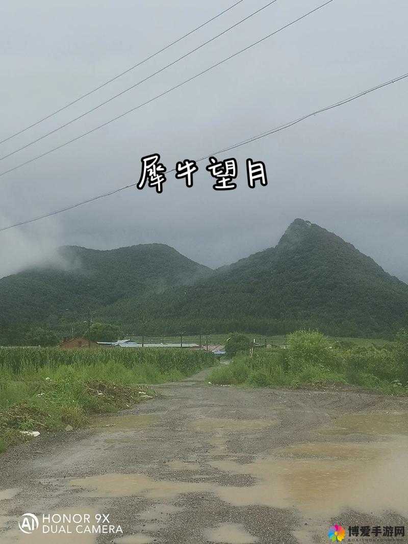 九阴真经手游犀牛望月怎么样，武当犀牛望月进阶效果深度解析