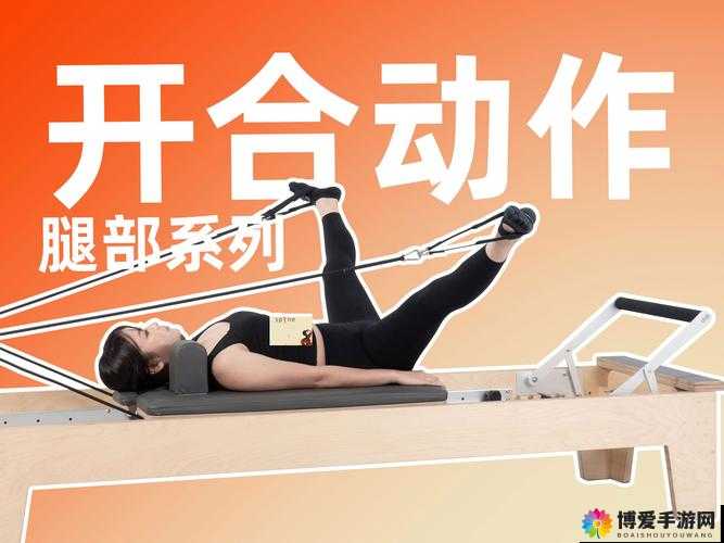 女人扒开腿会软件有哪些功能？详细解析其使用场景与操作方法