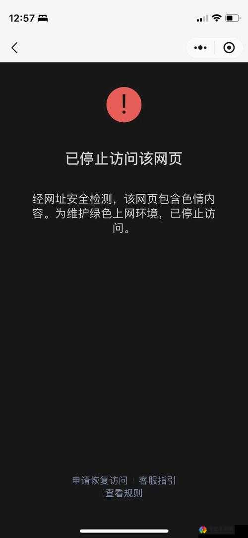 成品禁用B站入口网站引发热议，用户如何应对访问限制问题？