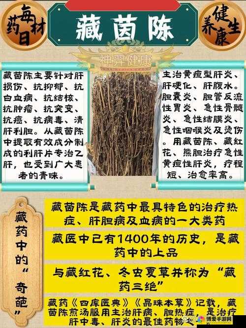 藏秘四十八油的功效与作用揭秘：传统藏药如何助力现代健康与养生？