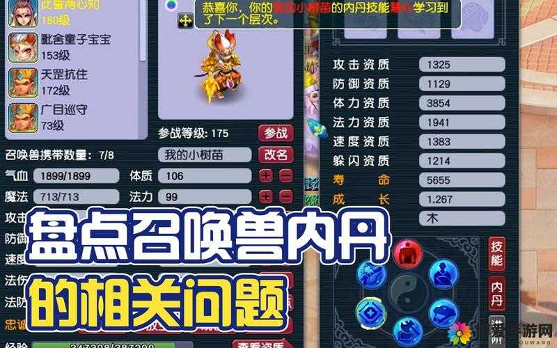 梦幻西游手游宠物内丹效果一览