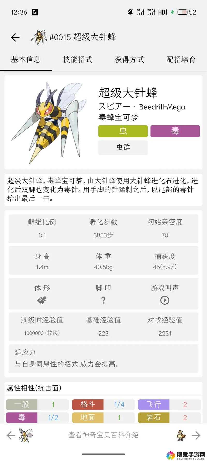 口袋妖怪复刻大针蜂是什么属性 大针蜂属性图鉴