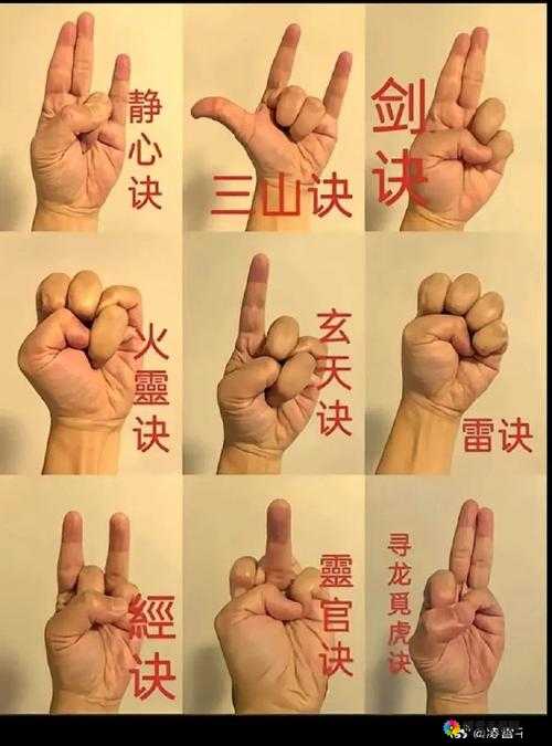 太极熊猫符文合成系统详解，深度解析与实战指南