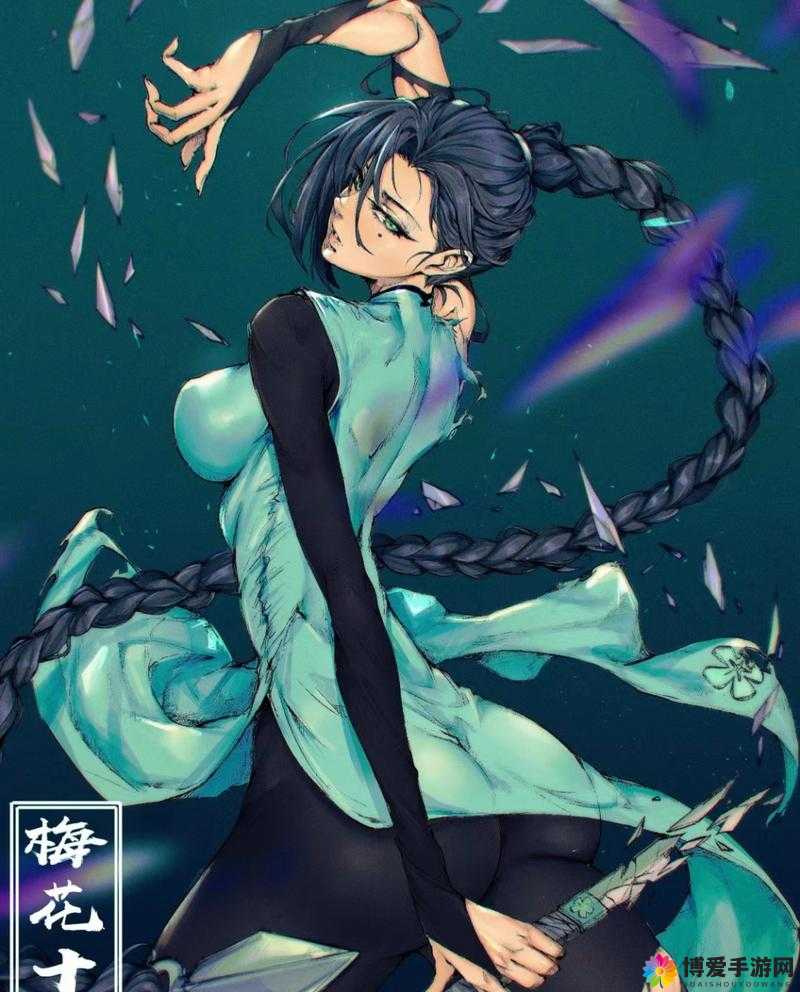 梅花十三的胸怀究竟有多大？揭秘其背后的故事与深远影响