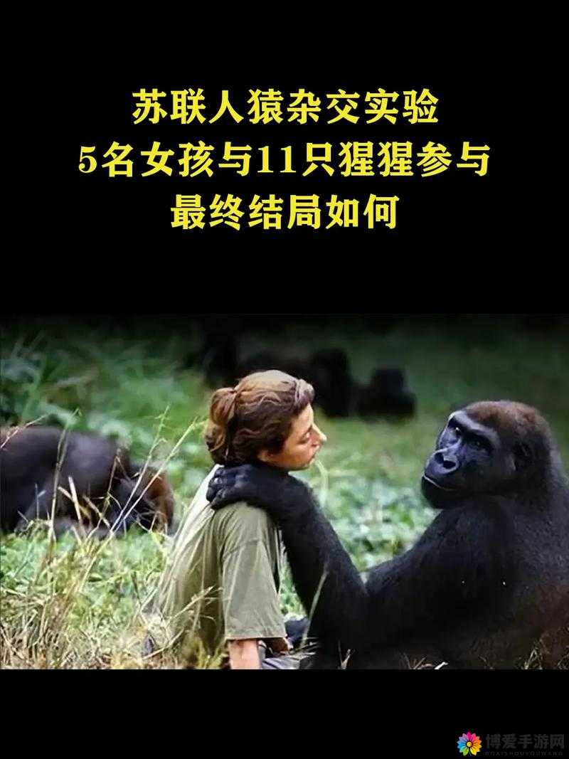 探讨非洲女性与雄性性猛交的文化背景与社会影响：深度解析传统与现代观念的碰撞