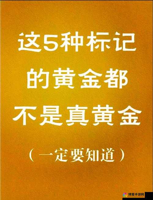探索91精品999的独特魅力：揭秘其背后的高品质与卓越服务
