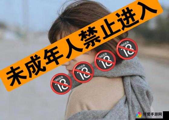 18以下禁止观看：揭秘在线观看内容的年龄限制与家长监管策略