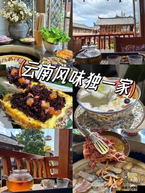 最难忘的假期经历:探索云南丽江古城的独特魅力与美食之旅