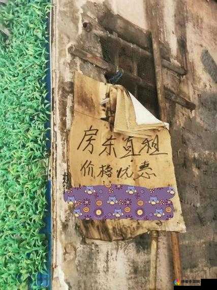发工资了想去城中村，怎么找才能找到性价比高的房子？求攻略