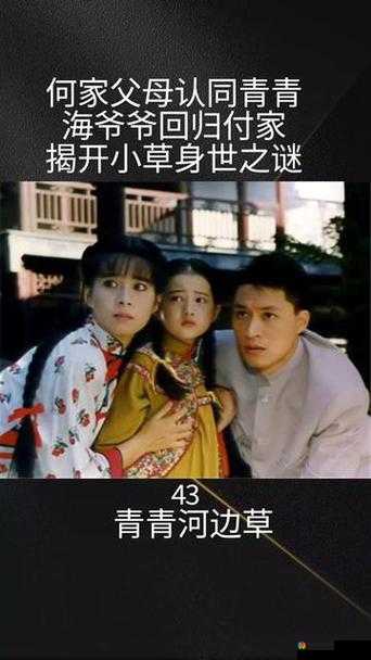 青青河边草高清免费完整版在哪看？如何获取青青河边草高清免费完整版资源？
