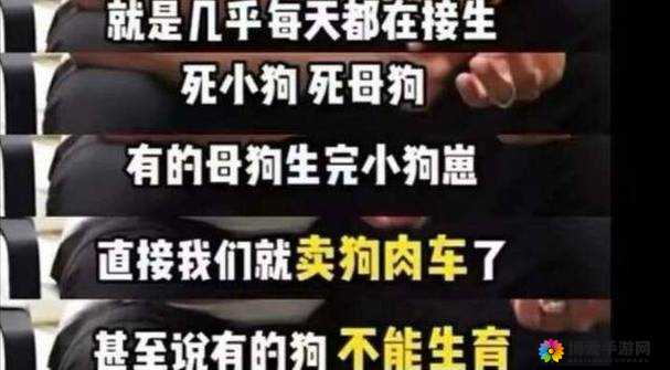 揭秘残忍的㓜交牛牛现象：背后真相令人震惊，社会应如何应对与反思？