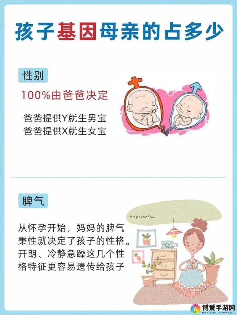 日本妈妈DNA与儿子DNA的遗传差异揭秘：亲子鉴定中的科学解析与家庭关系探讨