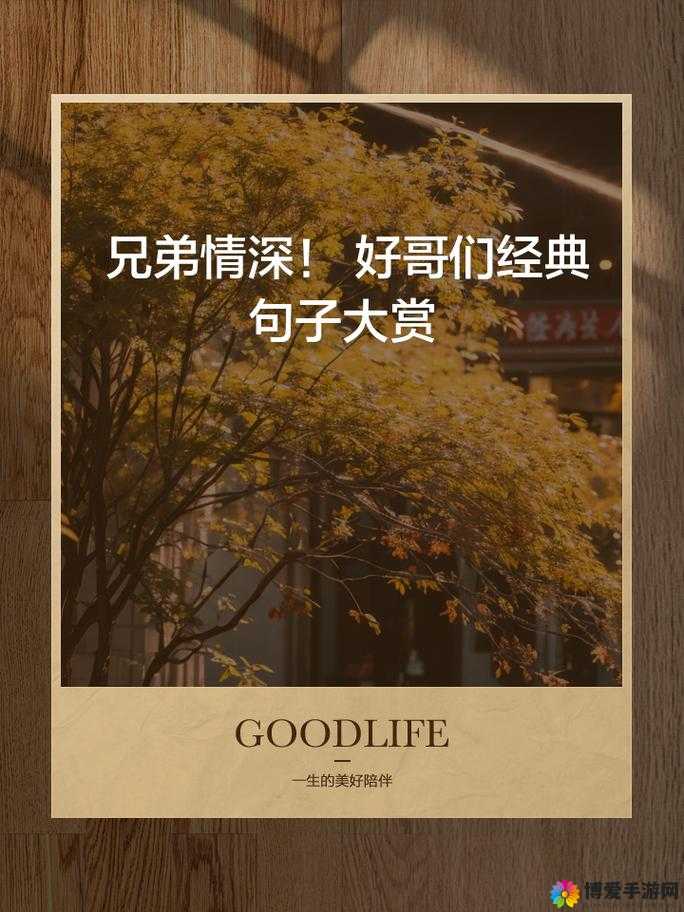 好兄弟语录霸气十足，教你如何用兄弟情谊征服人生挑战，展现真男人风范