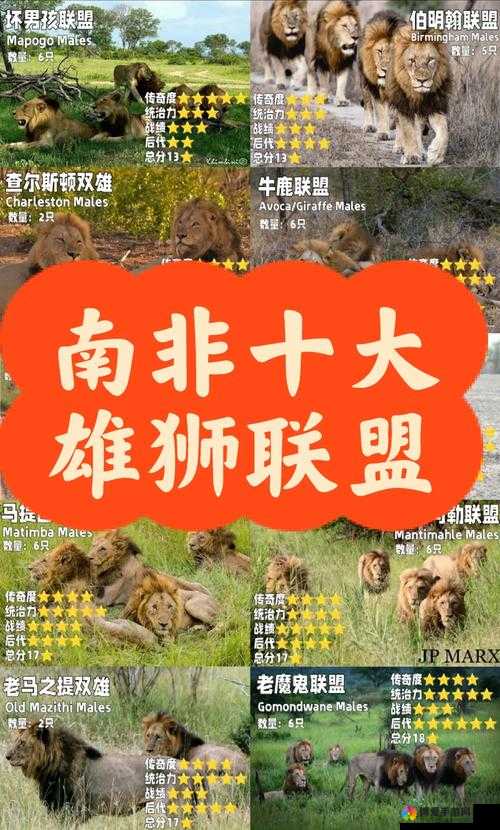 南非十大忌讳有哪些？你必须知道的南非文化禁忌大揭秘