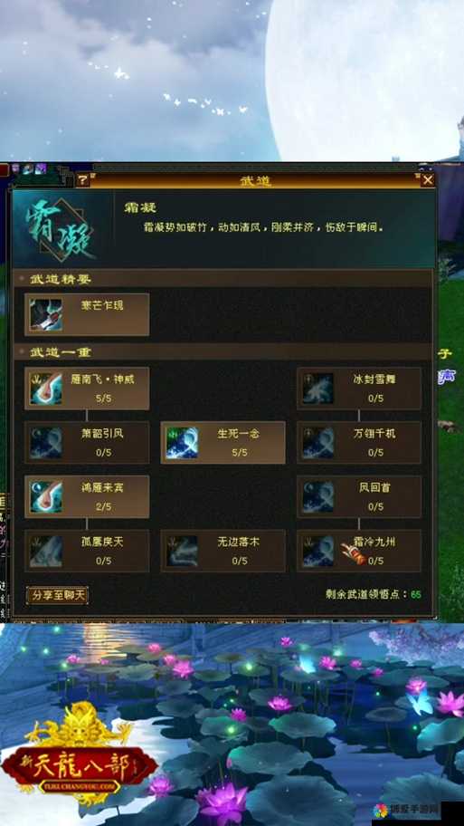 天龙八部3D手游天山侠客搭配攻略