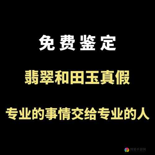 鉴定师在线观看下载:如何免费获取高清资源及完整观看指南