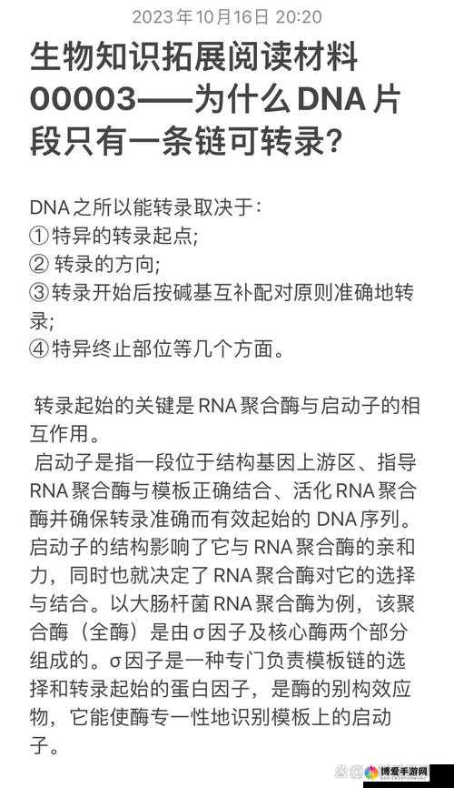 为什么不同人种的 DNA 会有差异？