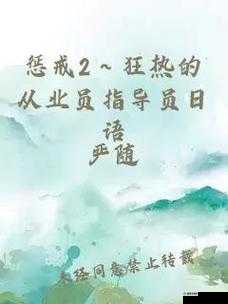 惩戒 2 狂热的从业指导 1-4 中文版，到底有哪些关键要点和实用内容？