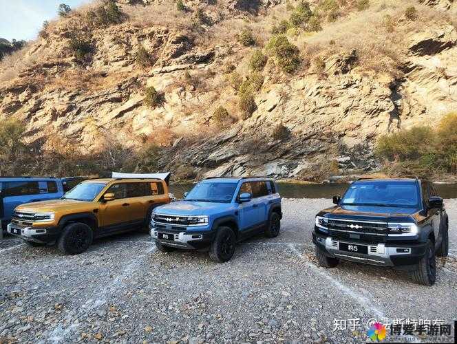 长途汽车遭遇 5 个光头，他们到底想干什么？