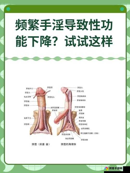 中国壮男自慰是否正常？专家解读自慰的奥秘