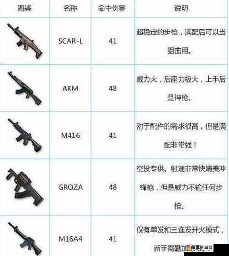 全民戗战FAMAS戗械图鉴与属性详解的深度剖析