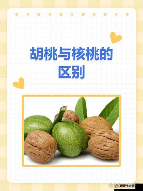 胡桃和核桃到底是不是同一个东西呢？快来一探究竟吧