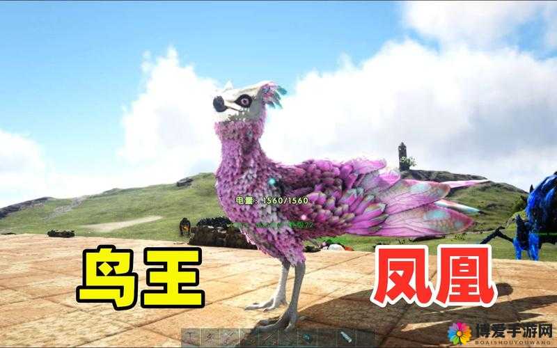 方舟重制版凤凰代码究竟是什么？其背后的秘密与意义