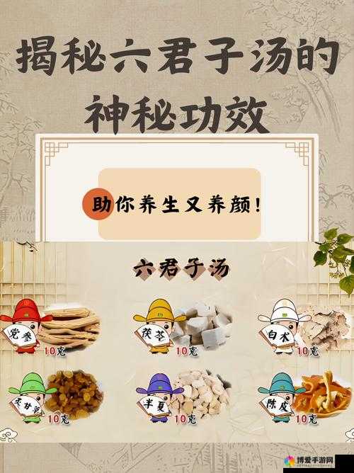 探索澧色母1至6汤的独特魅力：传统配方与现代养生的完美结合