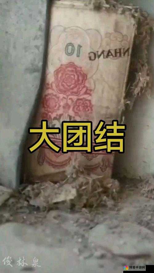 大团结高洁是什么意思？其背后有着怎样不为人知的故事？快来一探究竟