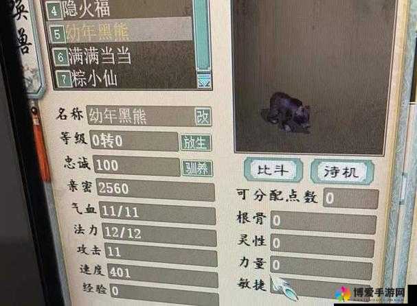 大话西游手游小黑熊资质全解析，捕捉地点与常见误解
