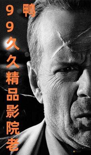 久久国产精品99久久人人澡：经典国产影视作品回顾与推荐，重温那些年我们追过的剧