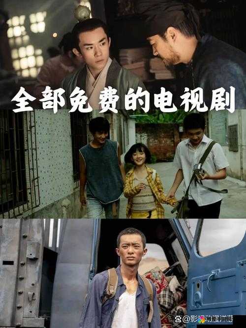 老阿姨免费观看全部电视剧为何遭拒绝?深度剖析背后原因及争议