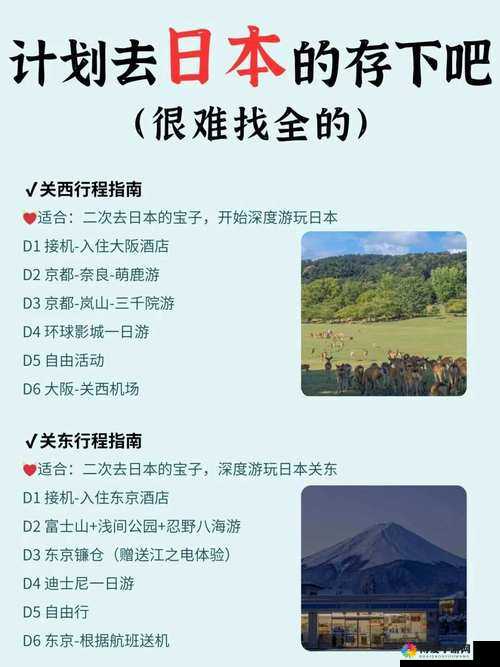 去日本可以玩日本人吗？探索日化与旅游体验的深度指南