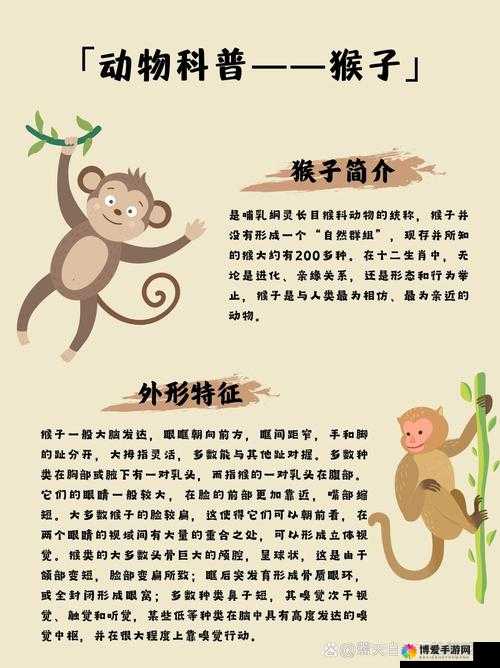 根据两人扑克牌游戏，探讨生猴子背后的文化现象与社会影响