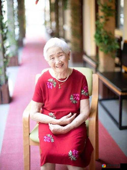 针对chinese老太交grany，如何理解这一独特表述？其背后有何深意？