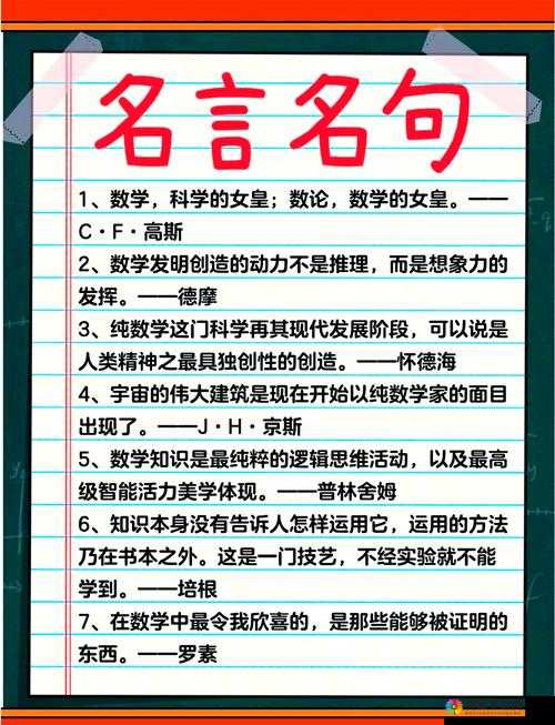 51 是什么？为什么它如此受欢迎？你真的了解 51 吗？探索 51 的奥秘，从这里开始