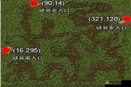 热血传奇手机版丛林迷宫怎么走 丛林迷宫详解