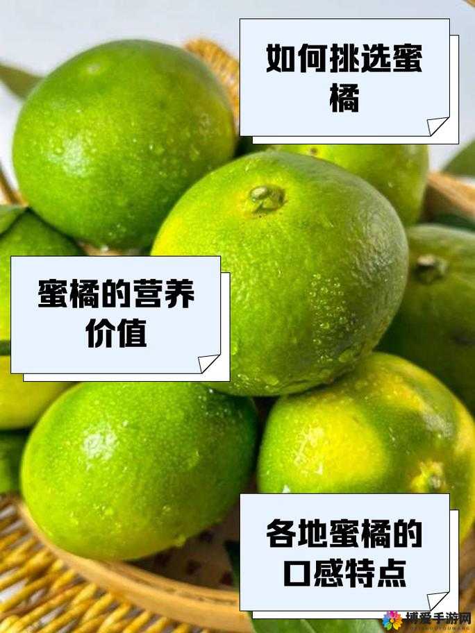 为什么蜜桔成年人版免费入口会被屏蔽？如何找到蜜桔成年人版免费入口？